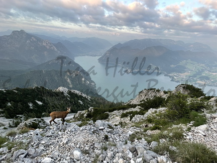 Foto 21.07.21, 06 00 44 (1)